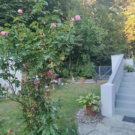 아파트 W Sasiedztwie Lasu 1800m Od Morza 소포트