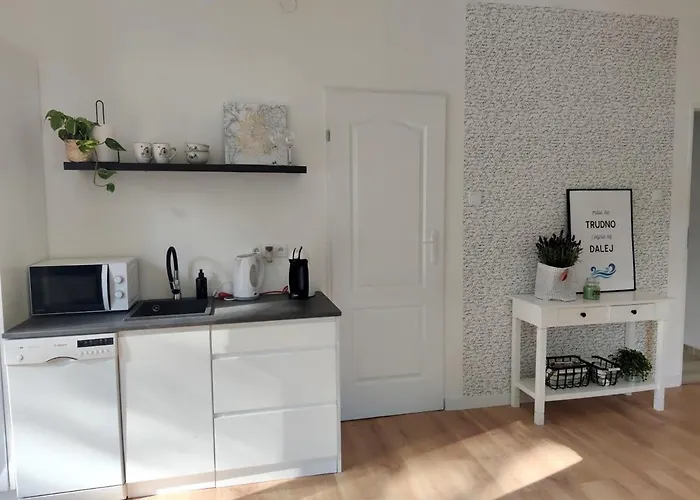 公寓 W Sasiedztwie Lasu 1800m Od Morza 索波特